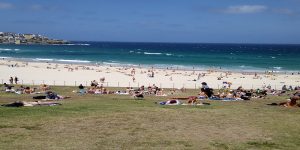 How to survive the Aussie summer ?